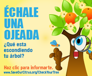 SQRECT_SneakAPeek_USA_SPA